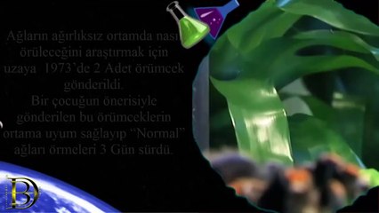 Uzayda Yapılan Ve Yapılmaya Devam Eden 10 Garip Deney