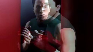 donnie yen fans design video