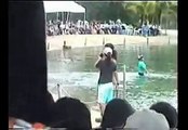 Kissed by Dolphin (better video quality)