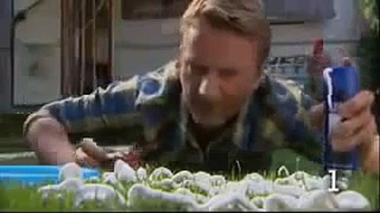 10 Dinge, die Sie nicht tun sollten, wenn Sie den Rasen mähen