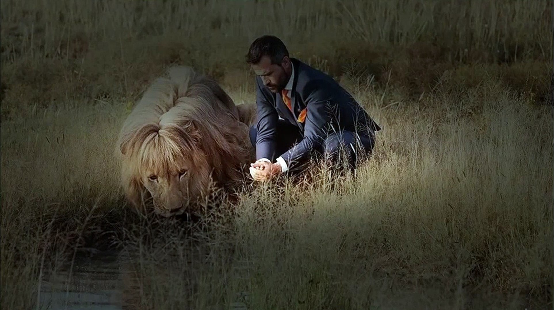 Animals Documentary National Geographic AnimalsWildlifeNature Documentary #01