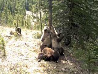 What goes on when you are not there! [Full Episode]