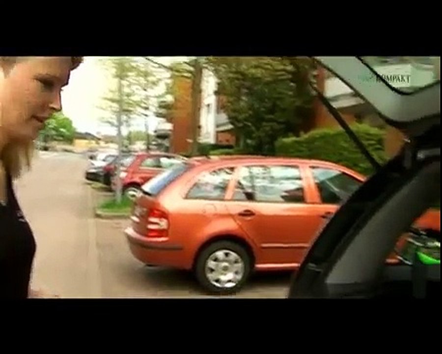Go Hair - die mobile Friseurin