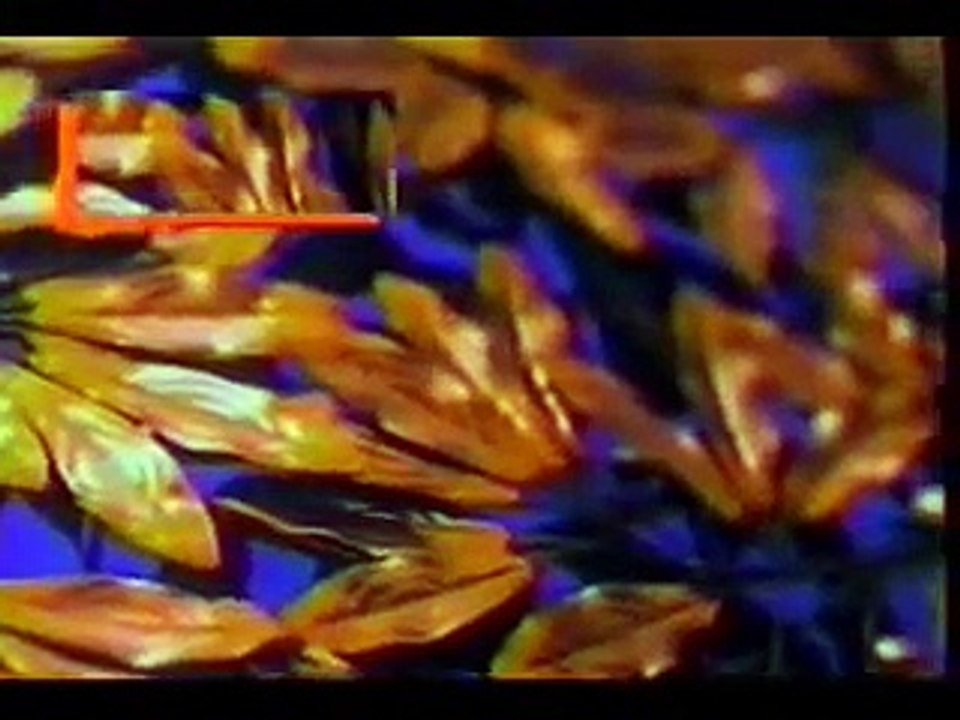 Faye Wong -  Broken-hearted Woman (Cantonese)