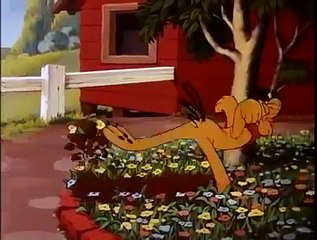 Donald Duck Cartoon Episodes The Eyes Have it Disney Classic Collection