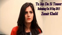 Zunair Khalid - Tu Jan Da Si Teaser | 