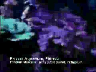 EcoSystem Aquarium:  Private Aquarium
