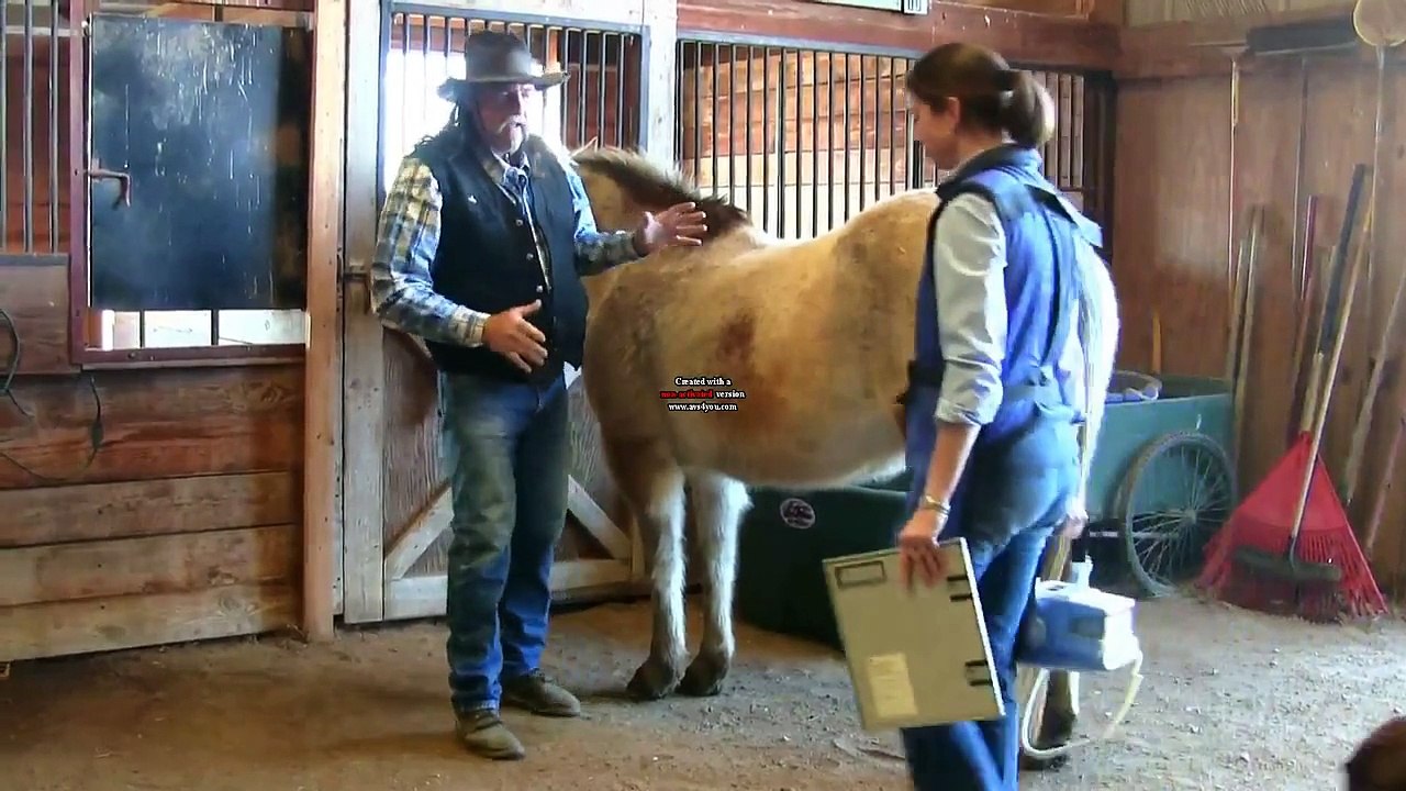 Taking x-rays of your Horse ! stall13.com videos