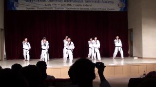 2011 Chosun University International Taekwondo Academy - Opening Ceremony - Taekwondo demonstration