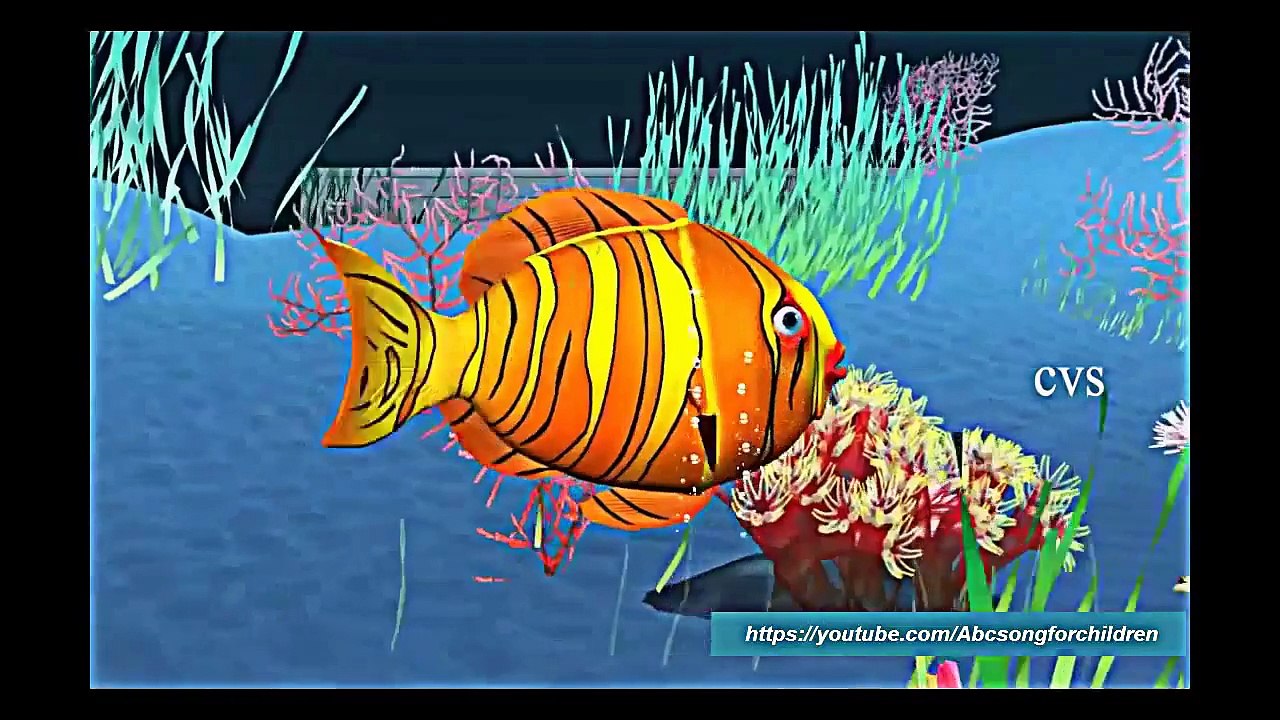 Machli jal ki rani - Nursery Rhymes, Abc songs for children, Kids videos / Animation - Car
