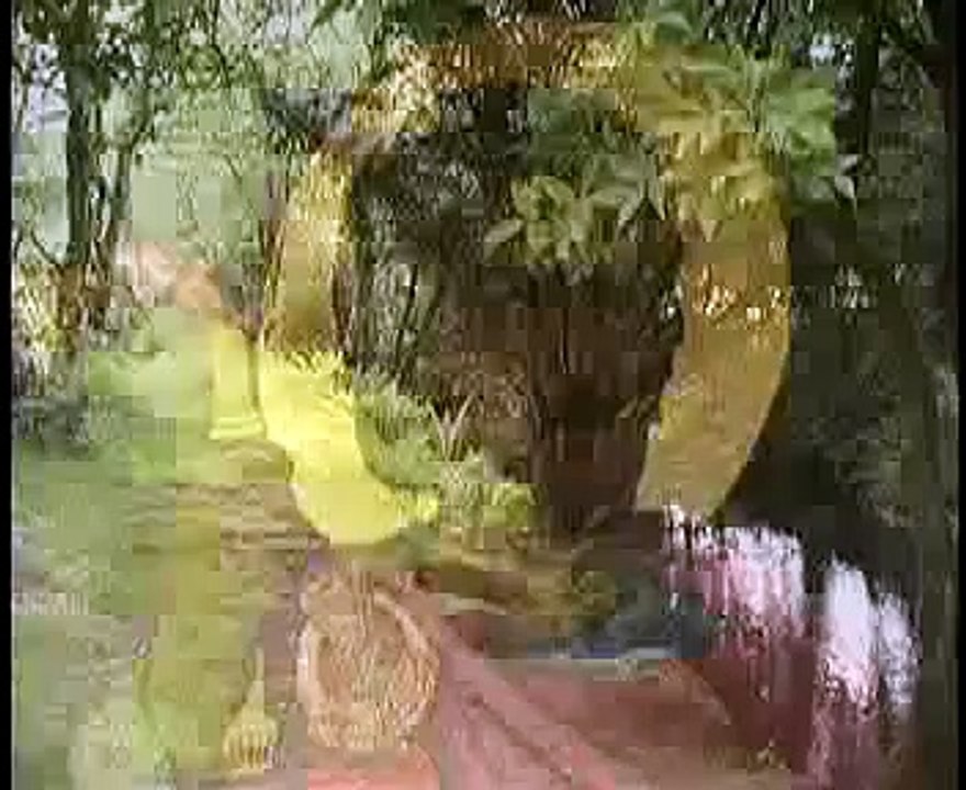 Irish Blessings: St. Patricks Breastplate John Doan Harp Guitar