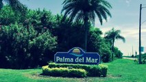 Palma Del Mar Condos - Isla Del Sol - St Petersburg, Florida