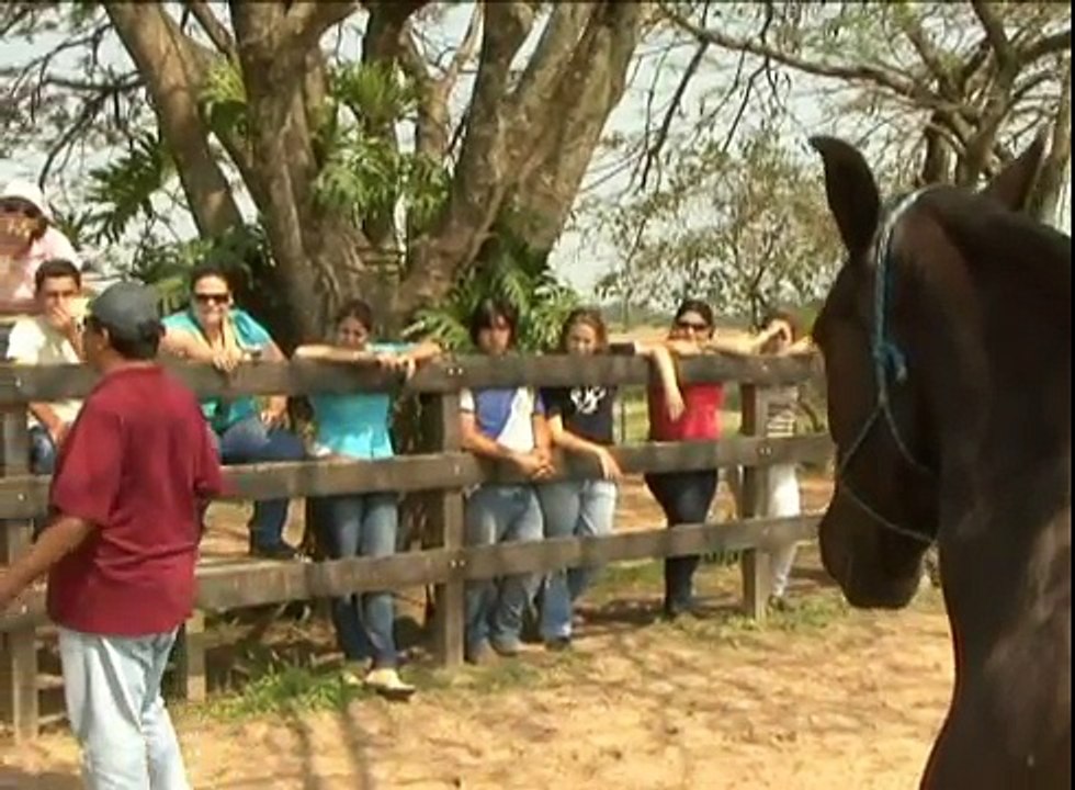 5º SIMPÓSIO INTERNACIONAL DO CAVALO ATLETA