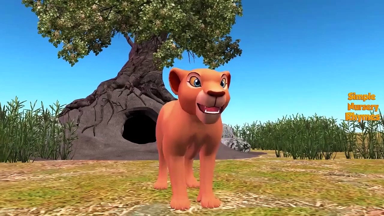 Finger Family Rhymes | Lion King Finger Family  | Animals  Nursery Rhymes Collection