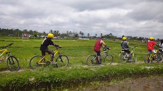 Bali Cycling Tour - Bali Cycling Adventure - Bali Cycling Trip - Bali Down Hill Cycling - Bali Cycling Tour - Alam Amazing Adventures