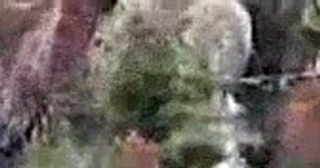 there goes the mountain [Full Episode]