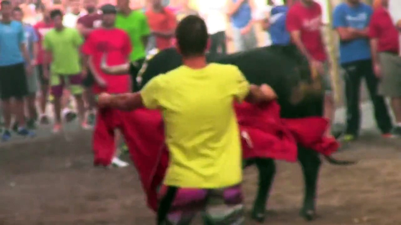 BOUS AL CARRER Albalat dels Sorells 2014 Toro Cerril Ganaderia Gerardo Ortega Nº67  26.Sep