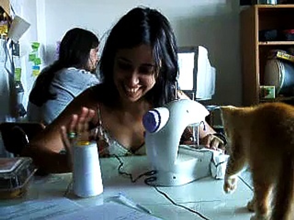 um gatinho muito maluco!!!!