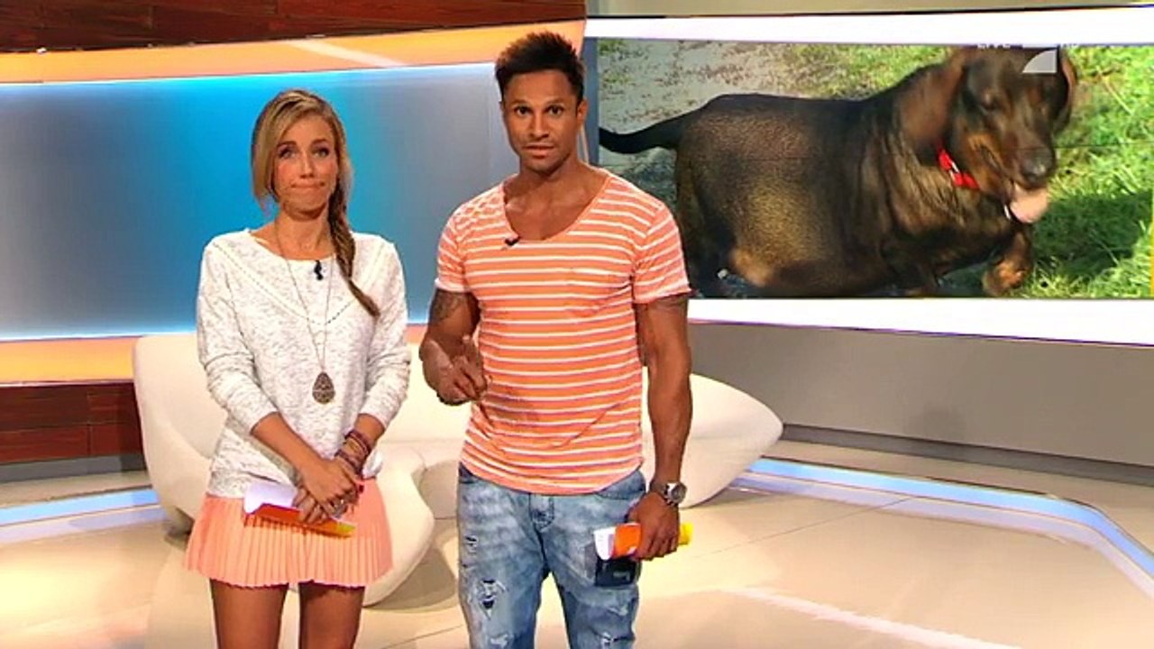 Annemarie Carpendale - taff - 08.09.2015