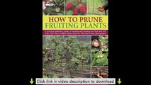 How to Prune Fruiting Plants: A Practical Gardener's Guide to Pruning and Training Tree Fruit and So