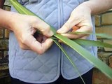 AUCKLAND NZ TOURS - weaving. How to weave putiputi