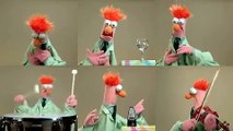 The Muppets  Ode To Joy HD 2015