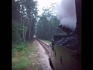 Führerstandsmitfahrt 99 3317