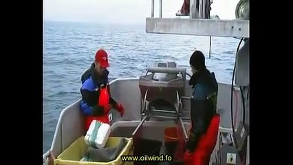 OILWIND - Automatic Longline Fishing