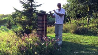 Lullaby for our bees - la ruche japonaise de Jan Michael - traditionelle japanese bee hive