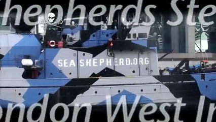 The Sea Shepherd Steve Irwin Visiting London West India Quay