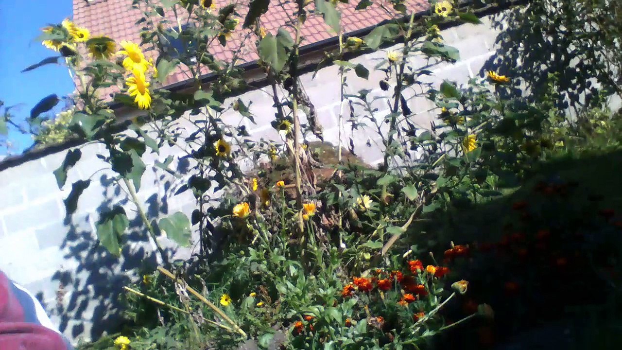 WIN_20150909_10_57_41_Pro