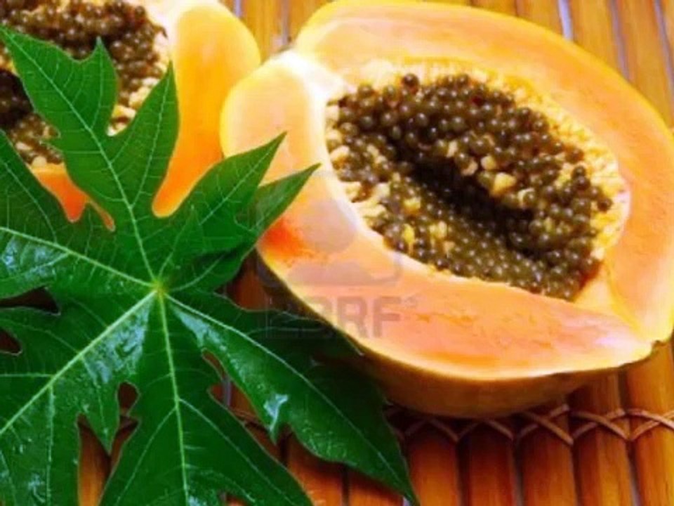 نجاح زراعة  فاكهة البابايا في الصحراء الرياض