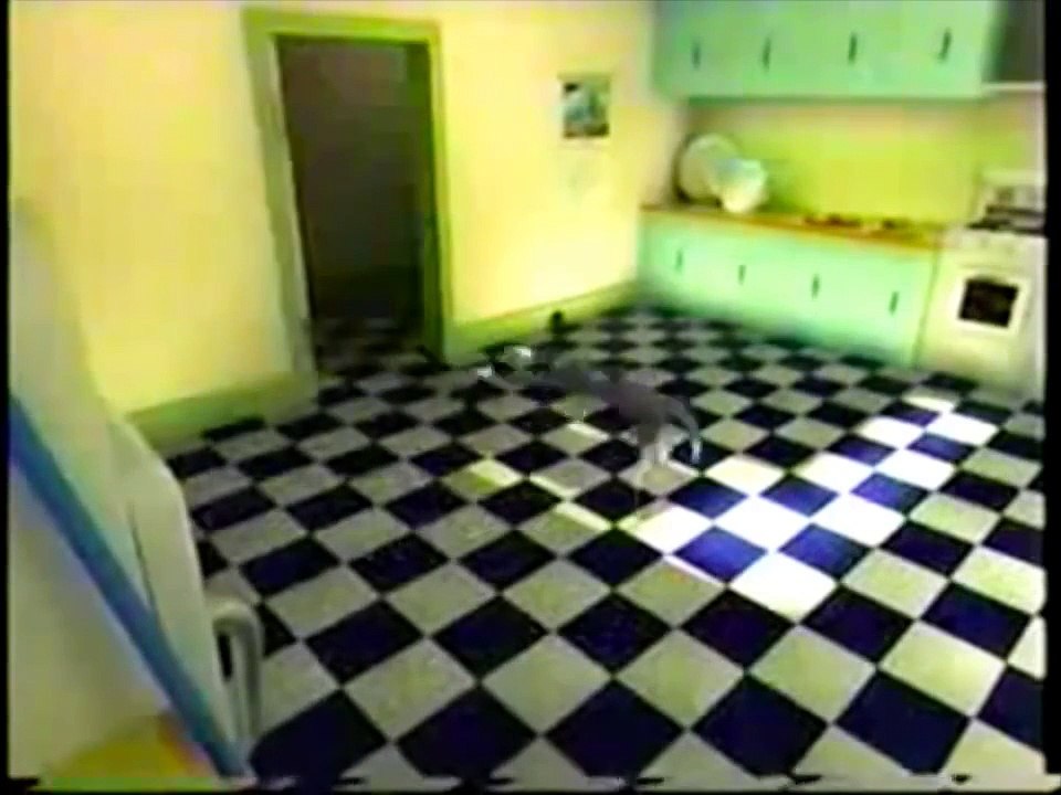 Tom and Jerry CN City Bumpers (2004, USA)