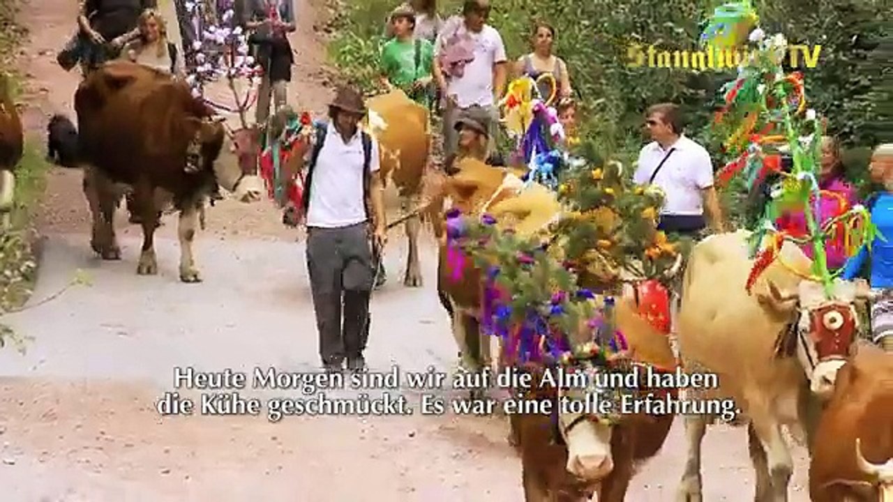 Almabtrieb beim Stanglwirt