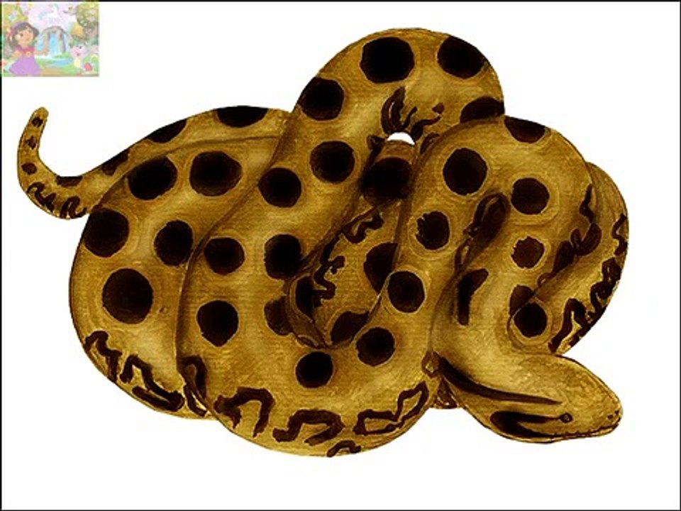 Reptiles  Glenn Doman Cards   English   Vocabulary Flash Card   Teach young children   Rhymes