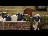شون ذا شيب Shaun The Sheep خروف شون ذا شيب