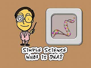 DNA & RNA: Key Genetic Molecules 🧬