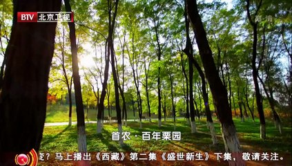《档案》20150908：纳粹德国“西藏探险队” 盛世新生（下集）part1