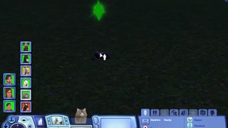 The Sims 3 Pets: Cat Dying
