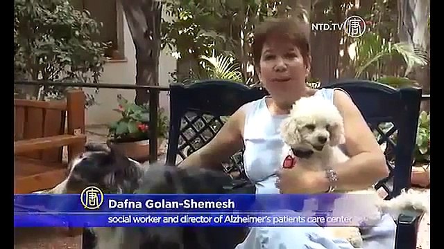 Dogs Act as Caregivers for Alzheimer Sufferers Best Wild Animal Videos
