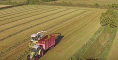 Drone Captures a Picturesque Irish Harvest