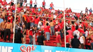 Pelea de porra del Veracruz en partido contra Leones Negros.