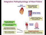 Experimental Physiology meeting report: Contributions of skeletal muscle myopathy to heart failure