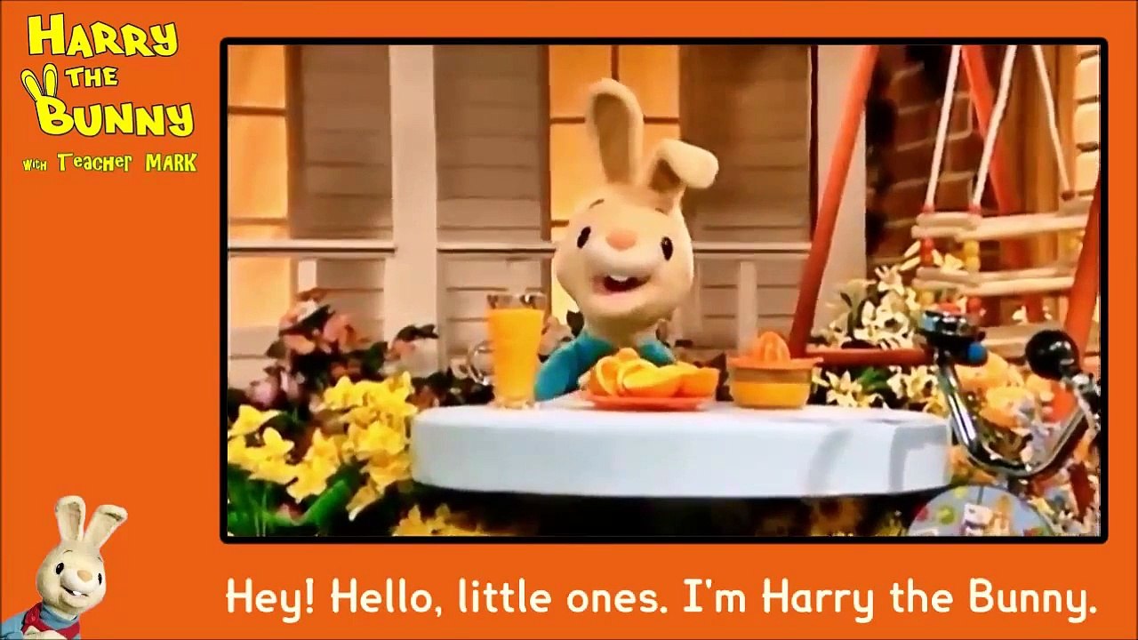 Harry The Rabbit - What is it - Orange Juice