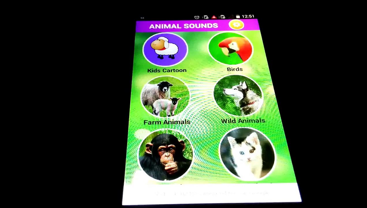 Animal Sounds for kids