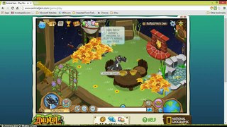 E.2   FLUFFY'S ANIMAL JAM GUIDE: Decorate Animals and Shop