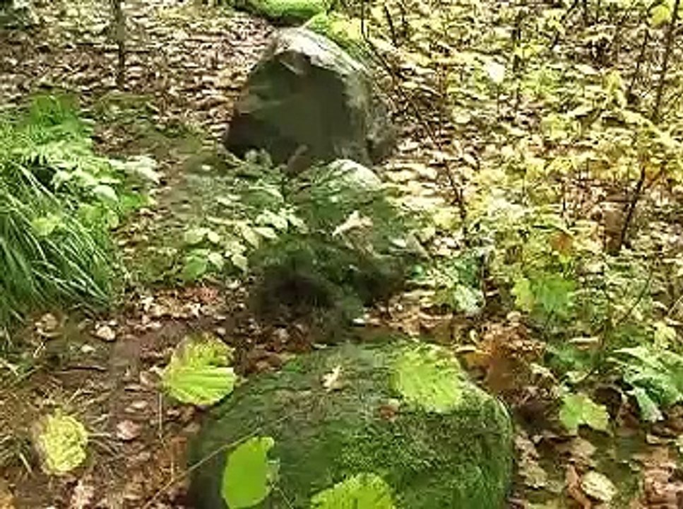 Lopaiciai. Sustinges laikas (5) E.Bunka, Mūsų kraštas Žemaitija (Sarmatija).