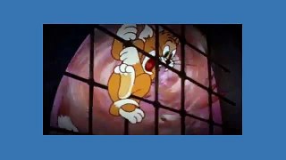 Tom And Jerry Cartoon - Switchin' Kitten