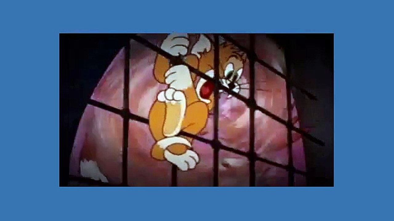 Tom And Jerry Cartoon - Switchin' Kitten
