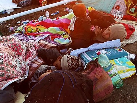 Британия готова принять 20000 беженцев из Сирии